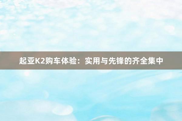 起亚K2购车体验：实用与先锋的齐全集中